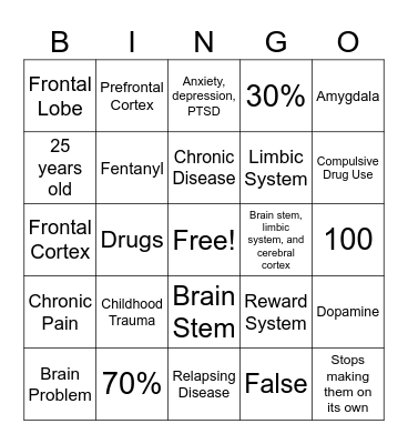 Addiction and the Brain Bingo Card