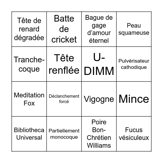 PDP BINGO BONANZA Bingo Card