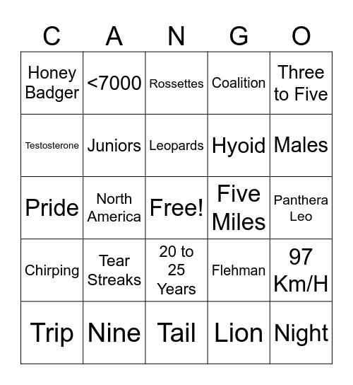 CANGO Bingo Card