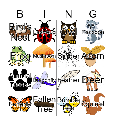 Nature Walk Bingo Card