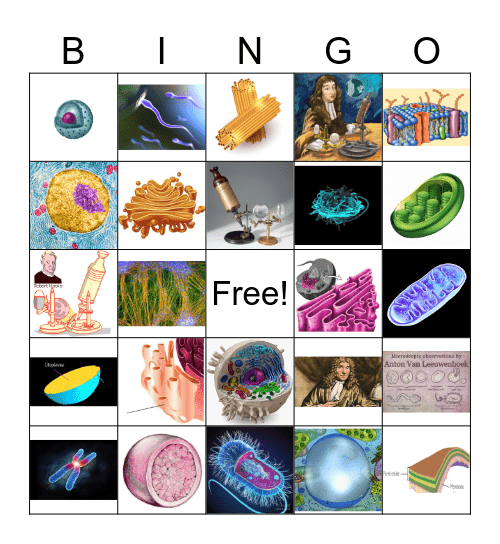 BINGO CELULAR Bingo Card