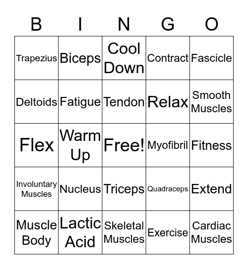 MUSCLES Bingo Card