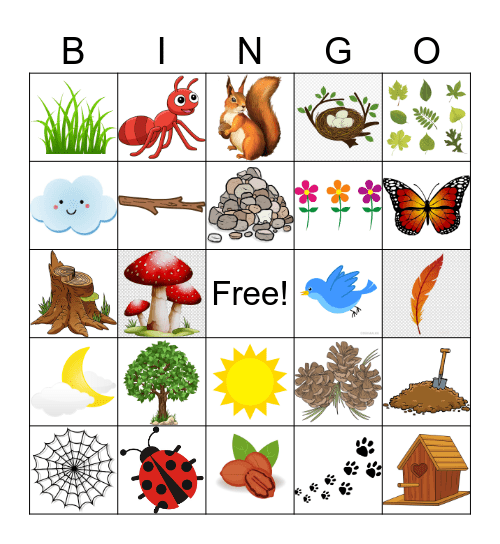 Nature Bingo Scavenger Hunt Bingo Card