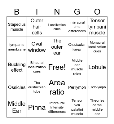 External and Middle Ear Bingo Card