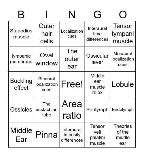 External and Middle Ear Bingo Card