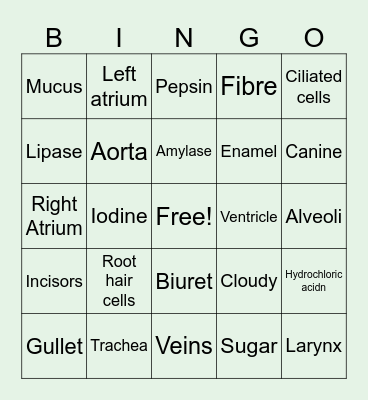 Biology IGCSE Bingo Part 2 Bingo Card