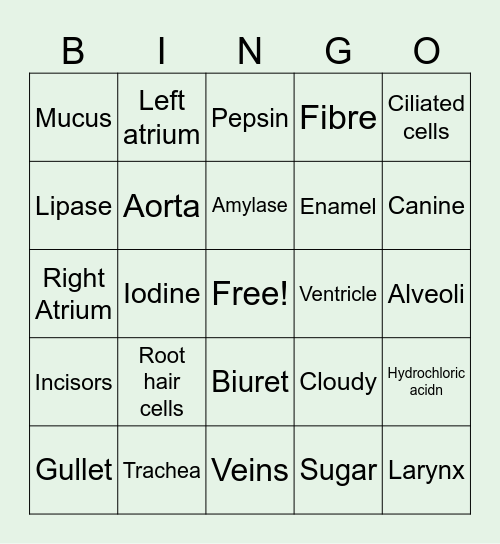 Biology IGCSE Bingo Part 2 Bingo Card