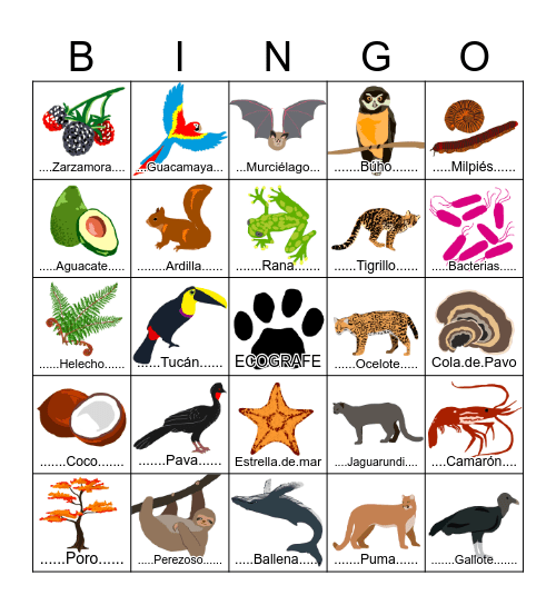 Eco-Bingo Card
