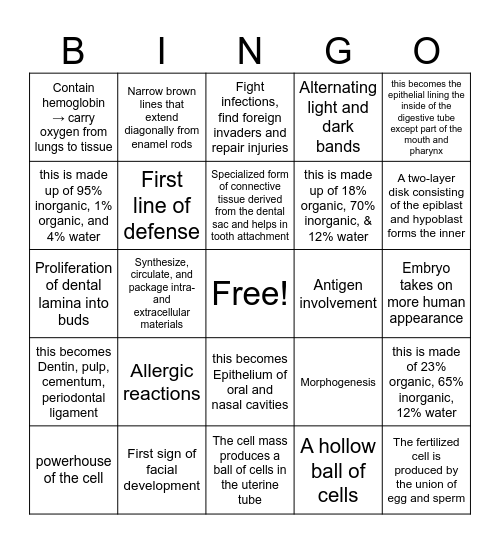 Week 3 Seminar Bingo Card