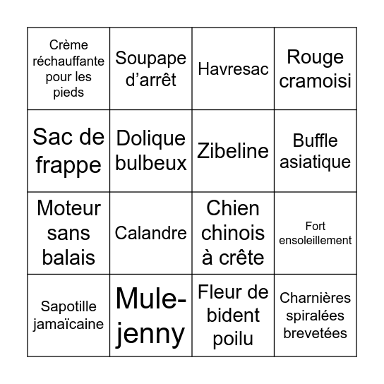 PDP BINGO BONANZA Bingo Card