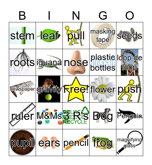 Kindergarten End of the Year Bingo Card