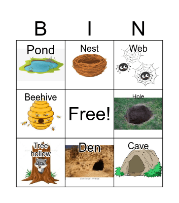 Animal homes Bingo Card
