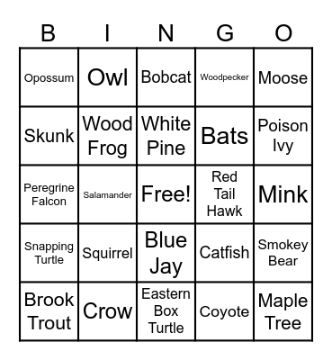 Wildlife Bingo Card