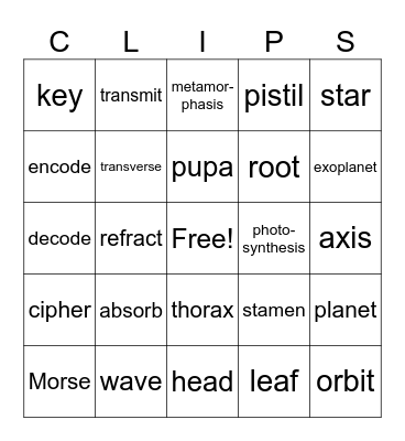 Science Words Bingo Card