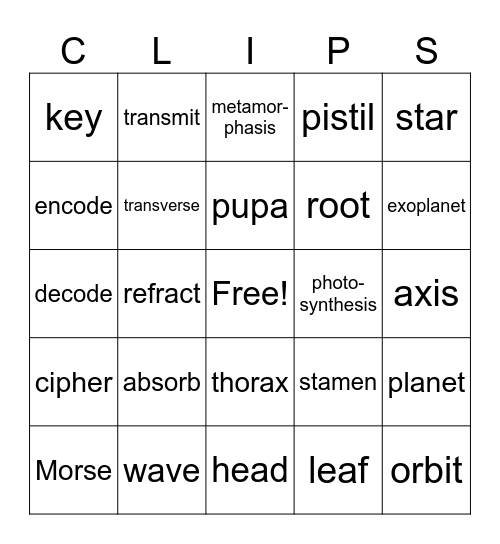 Science Words Bingo Card