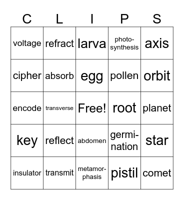 Science Words Bingo Card