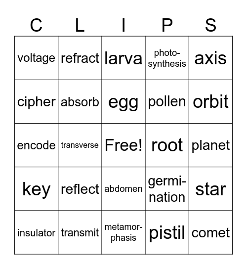 Science Words Bingo Card