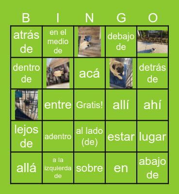 Preposiciones de Lugar Bingo Card