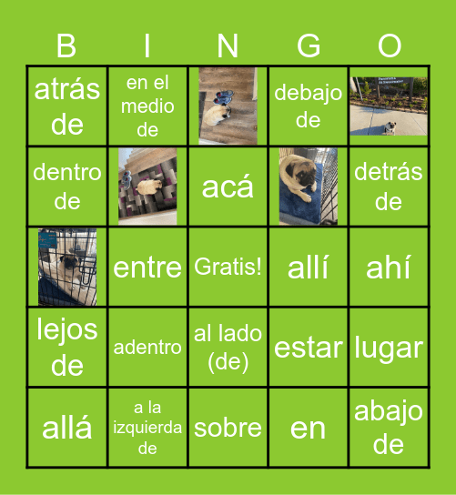 Preposiciones de Lugar Bingo Card