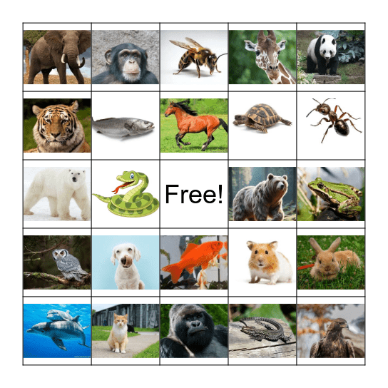 Le Bingo des Animaux Bingo Card