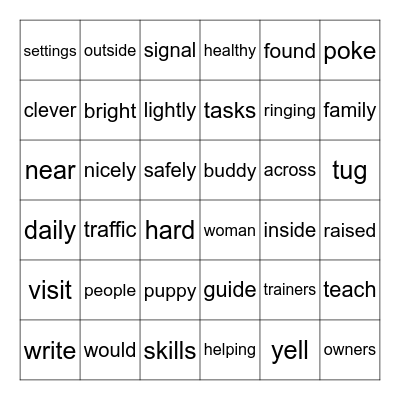 From Puppy to Guide Dog Bingo Card