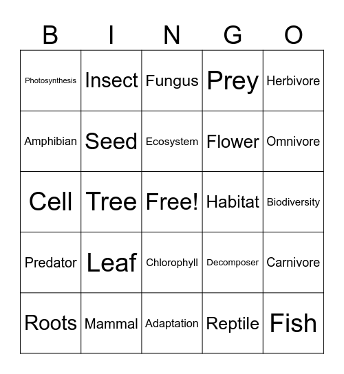 Bio Day Bingo! Bingo Card