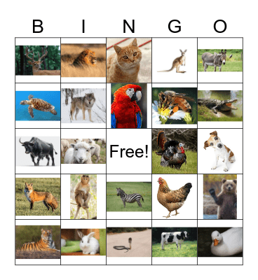 animals Bingo Card