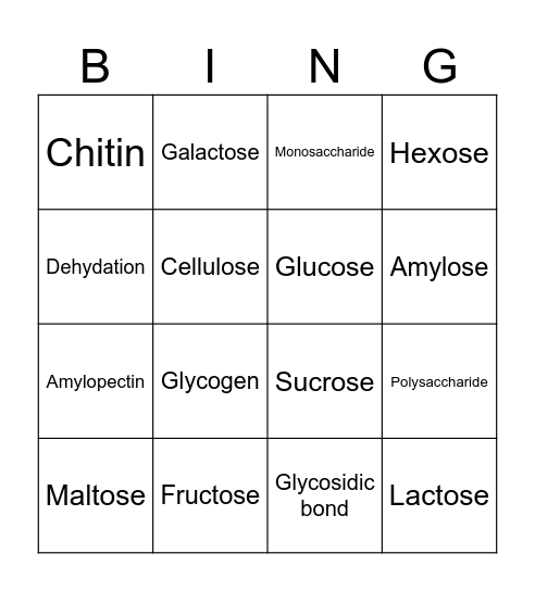 Carbohydrate Bingo Card