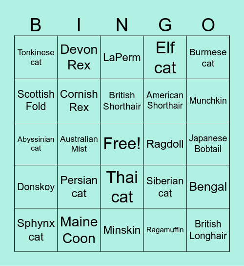 Cat Bingo Card