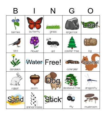 Nature Bingo Card