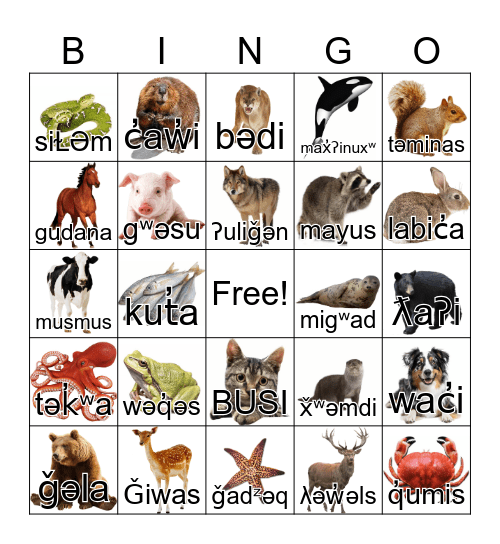 Liqʷala Animal Bingo Card