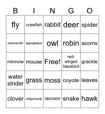 Ecology Energy Transfer BINGO Card