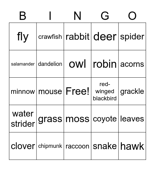 Ecology Energy Transfer BINGO Card