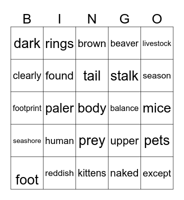 Cougar Bingo Card