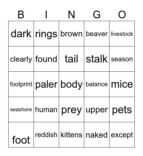 Cougar Bingo Card