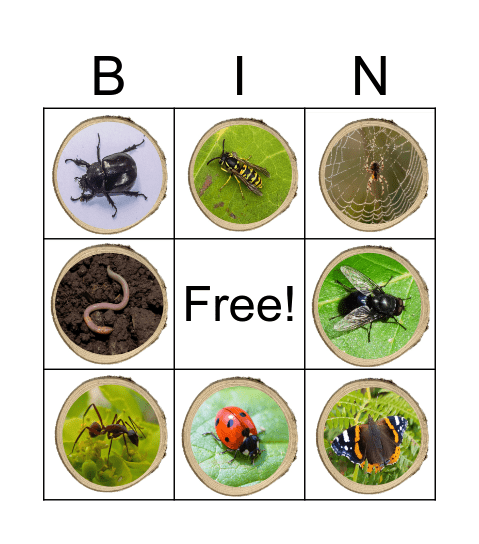 BICHOS Bingo Card