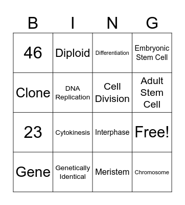 Cell Division Bingo Card