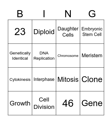 Cell Division Bingo Card