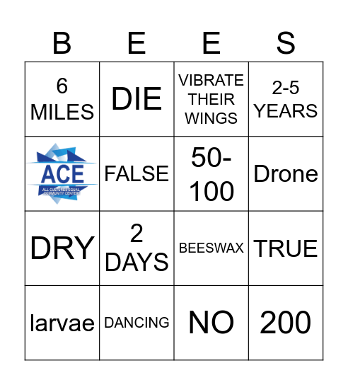 BEES Bingo Card
