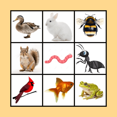 ANIMAL BINGO Card