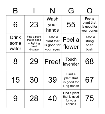Number Bingo 1-75 Bingo Card