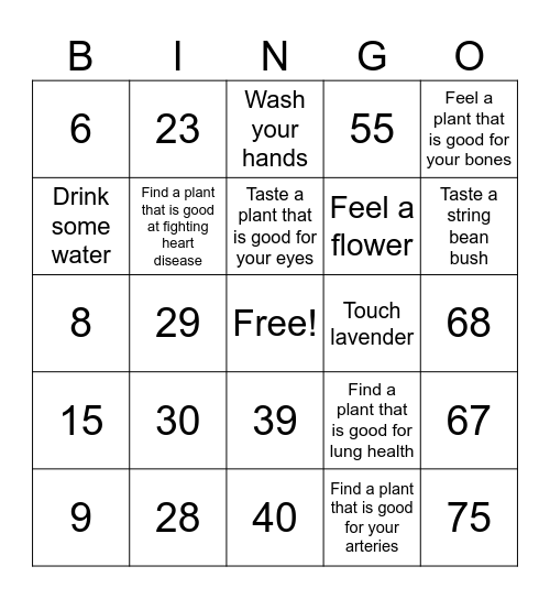 Number Bingo 1-75 Bingo Card