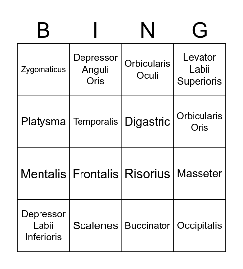 Head and Neck Bingo Card