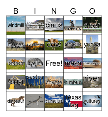 Texas Roadtrip Bingo Card