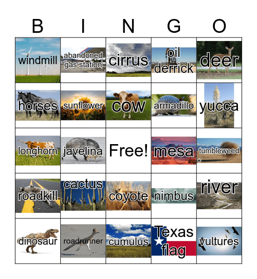 Texas Roadtrip Bingo Card