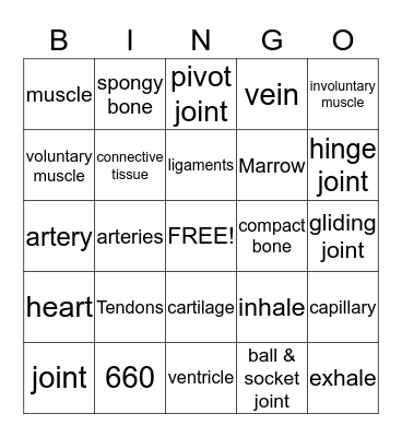 HUMAN BODY SYSTEMS  Bingo Card
