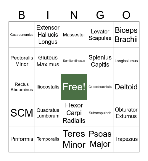 DEEPACADEMY Origin+Insertion BINGO Card