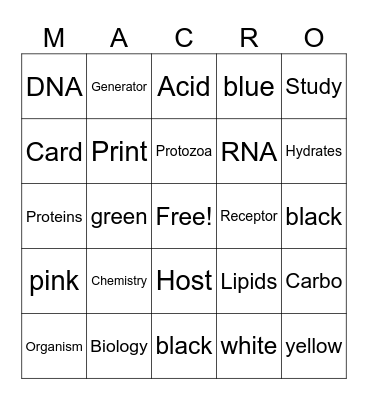 MACRO Bingo Card Bingo Card