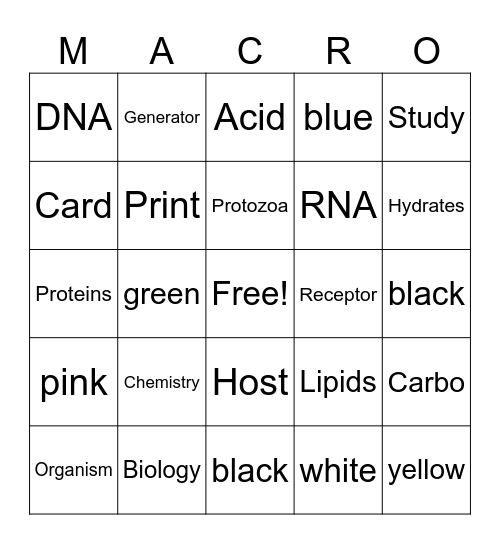 MACRO Bingo Card Bingo Card