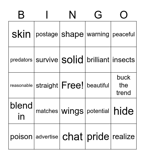 Vcobulary Bingo Card